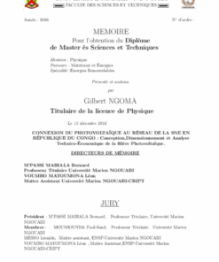 buydegree from the Université Marien Ngouabi