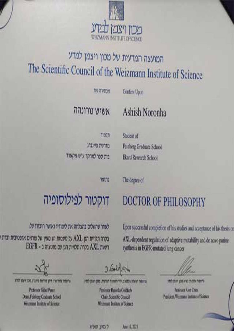 Verify Degrees - buy professorship degree from the weizmann institute of science buy college degree from the weizmann institute of science
